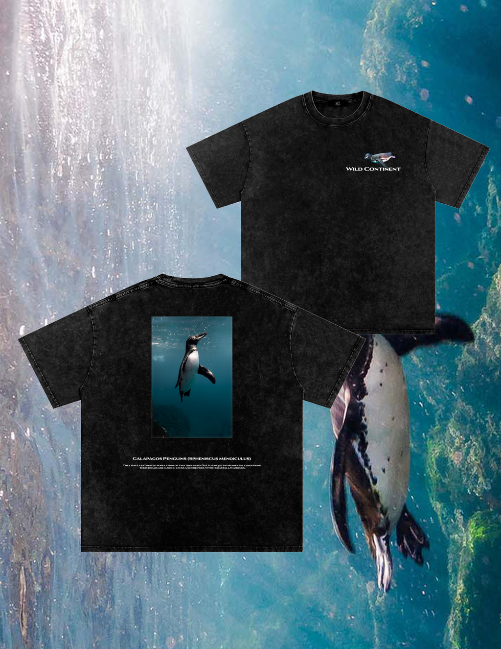 Galapagos Penguin T-Shirt