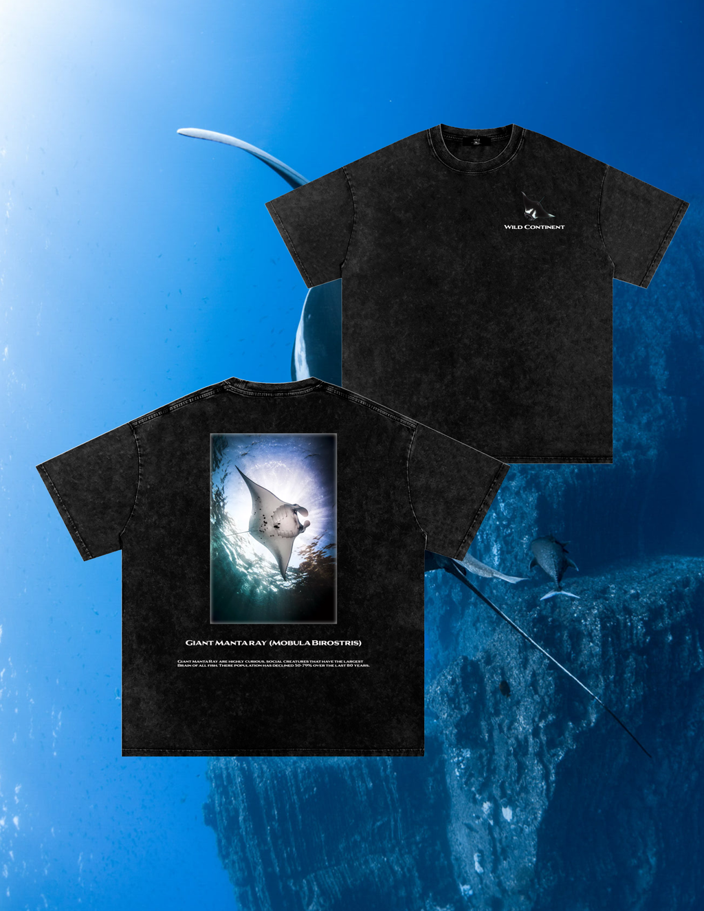 Giant Manta Ray (T-shirt)