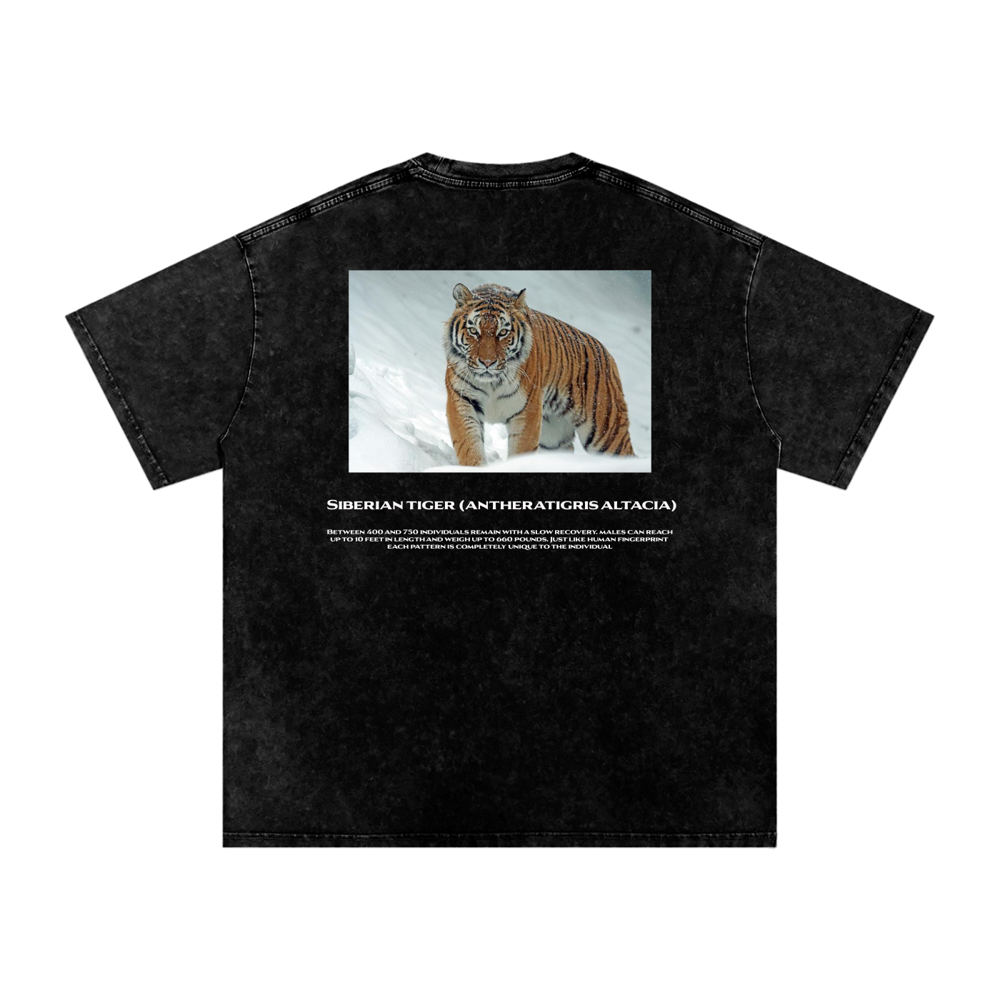 Siberian Tiger T-Shirt