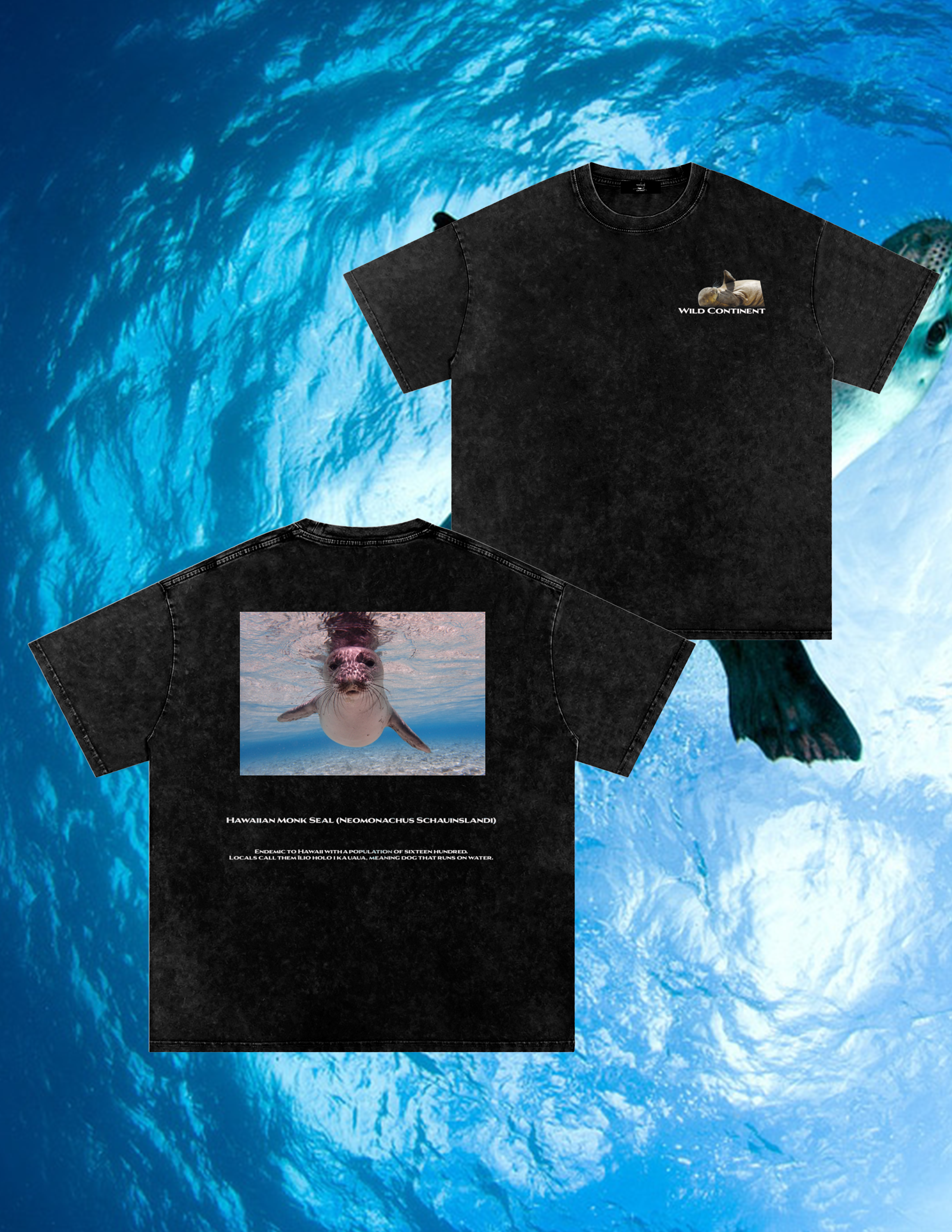 Hawaiian Monk Seal T-Shirt