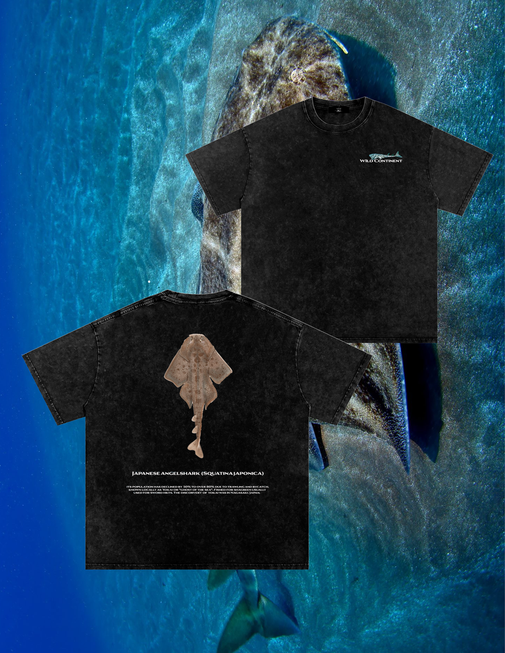 Angel Shark T-Shirt