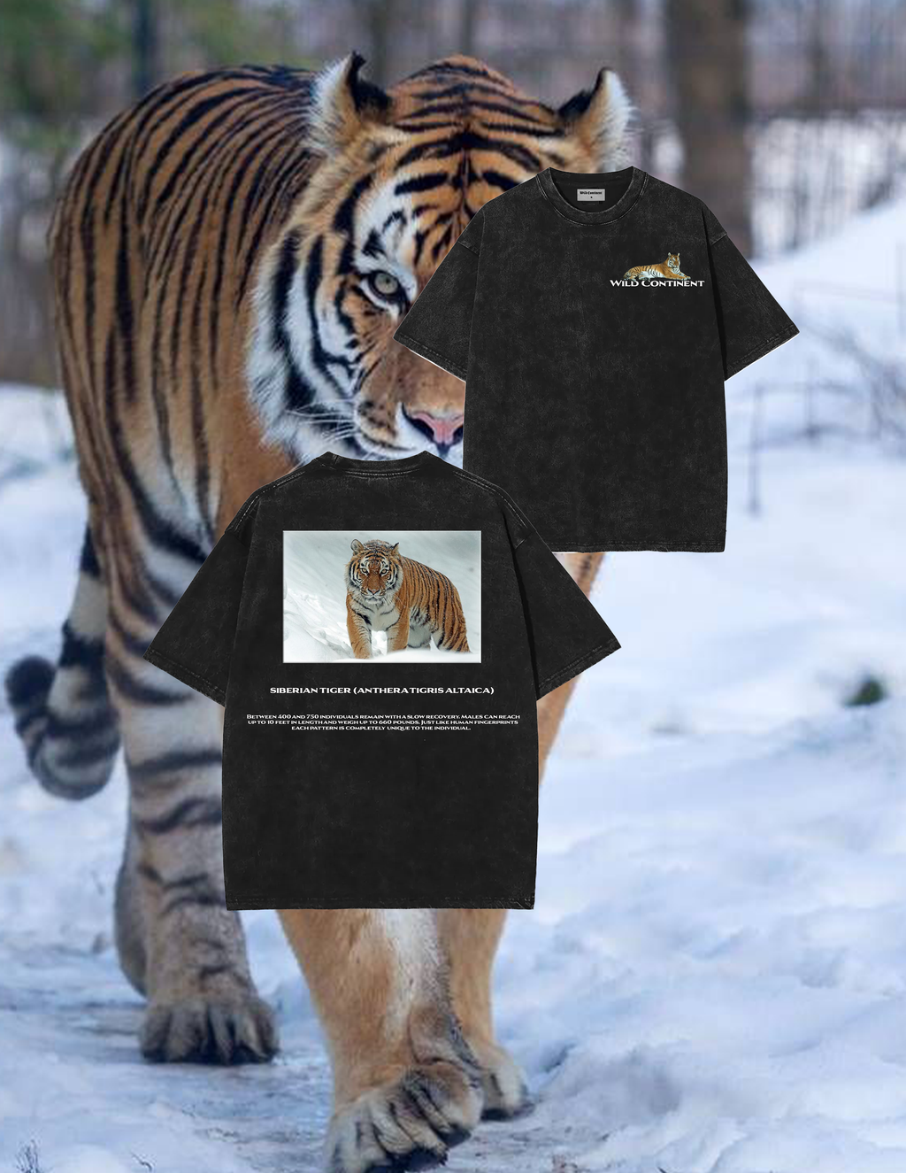 Siberian tiger T-shirt