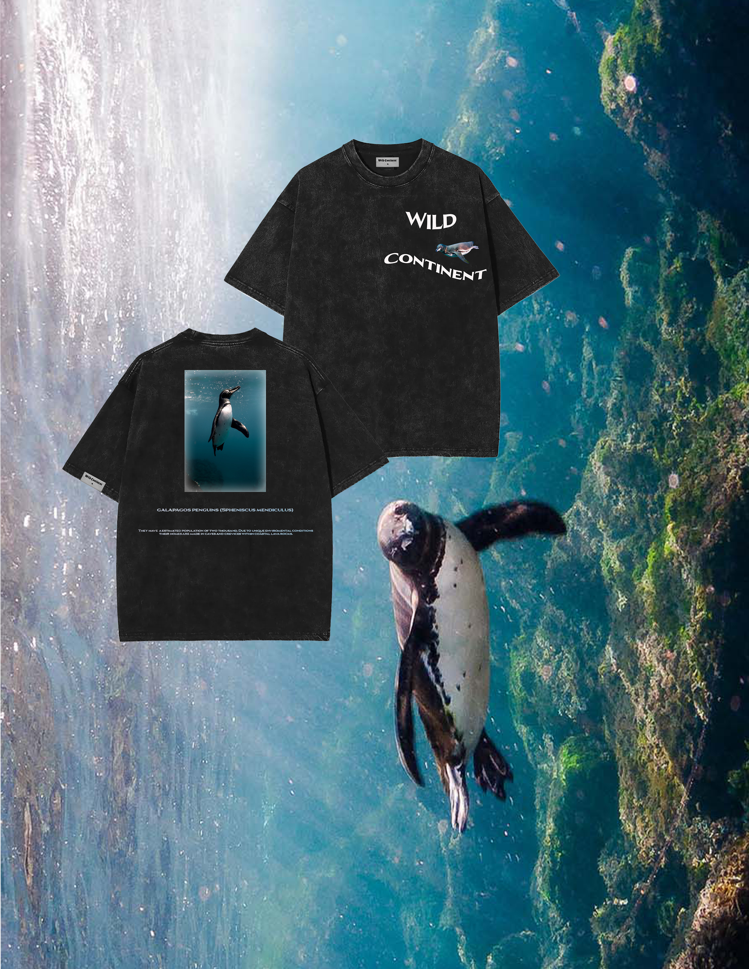 Galapagos Penguin T-shirt