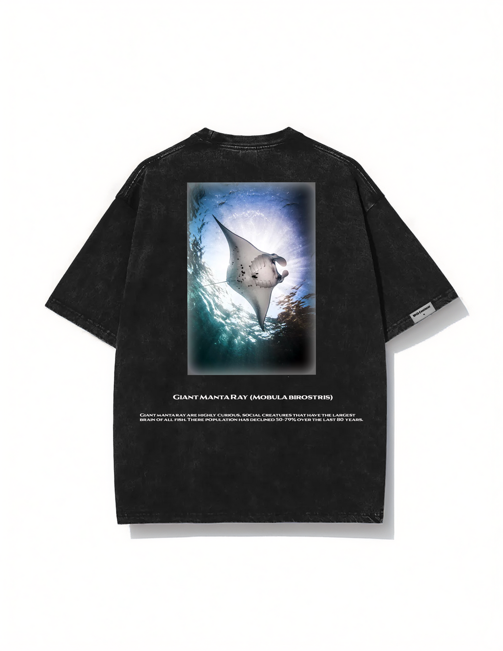 Giant Manta Ray T-shirt
