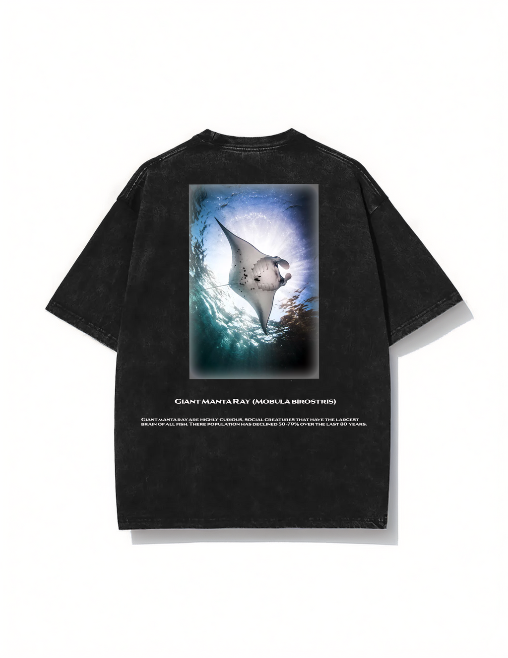 Giant Manta Ray T-shirt