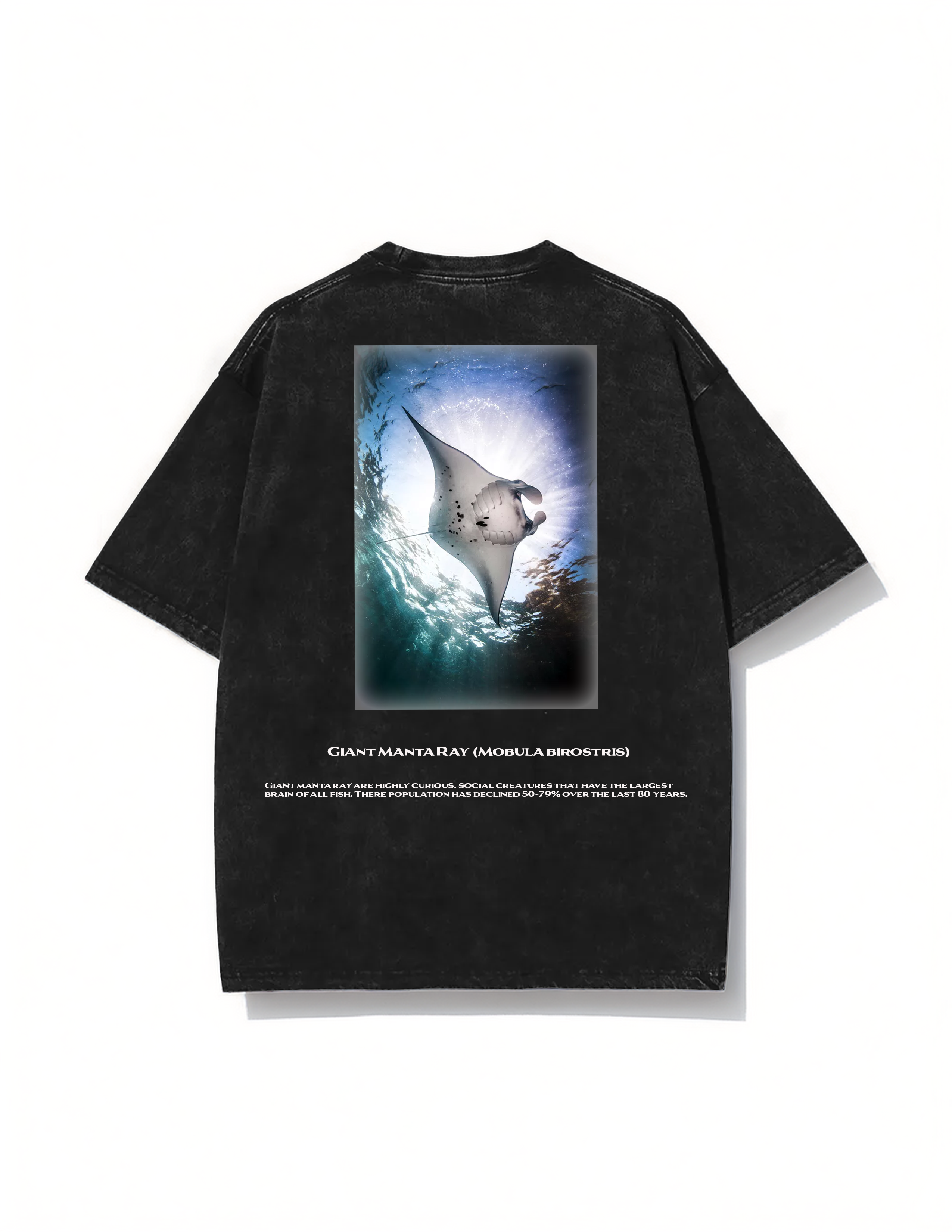 Giant Manta Ray T-shirt