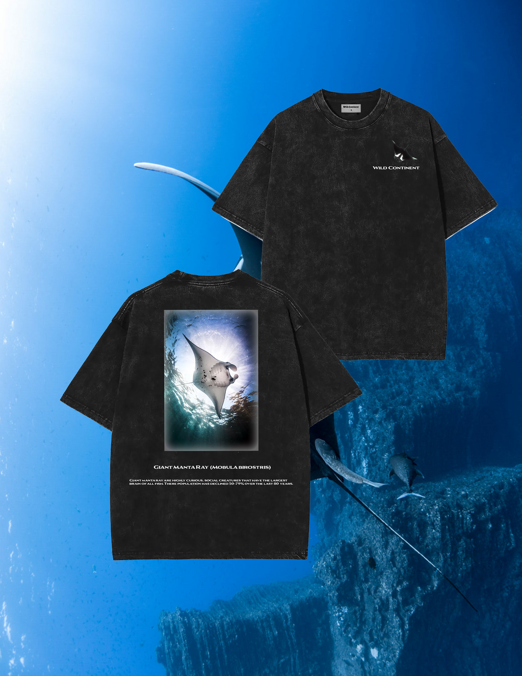 Giant Manta Ray T-shirt
