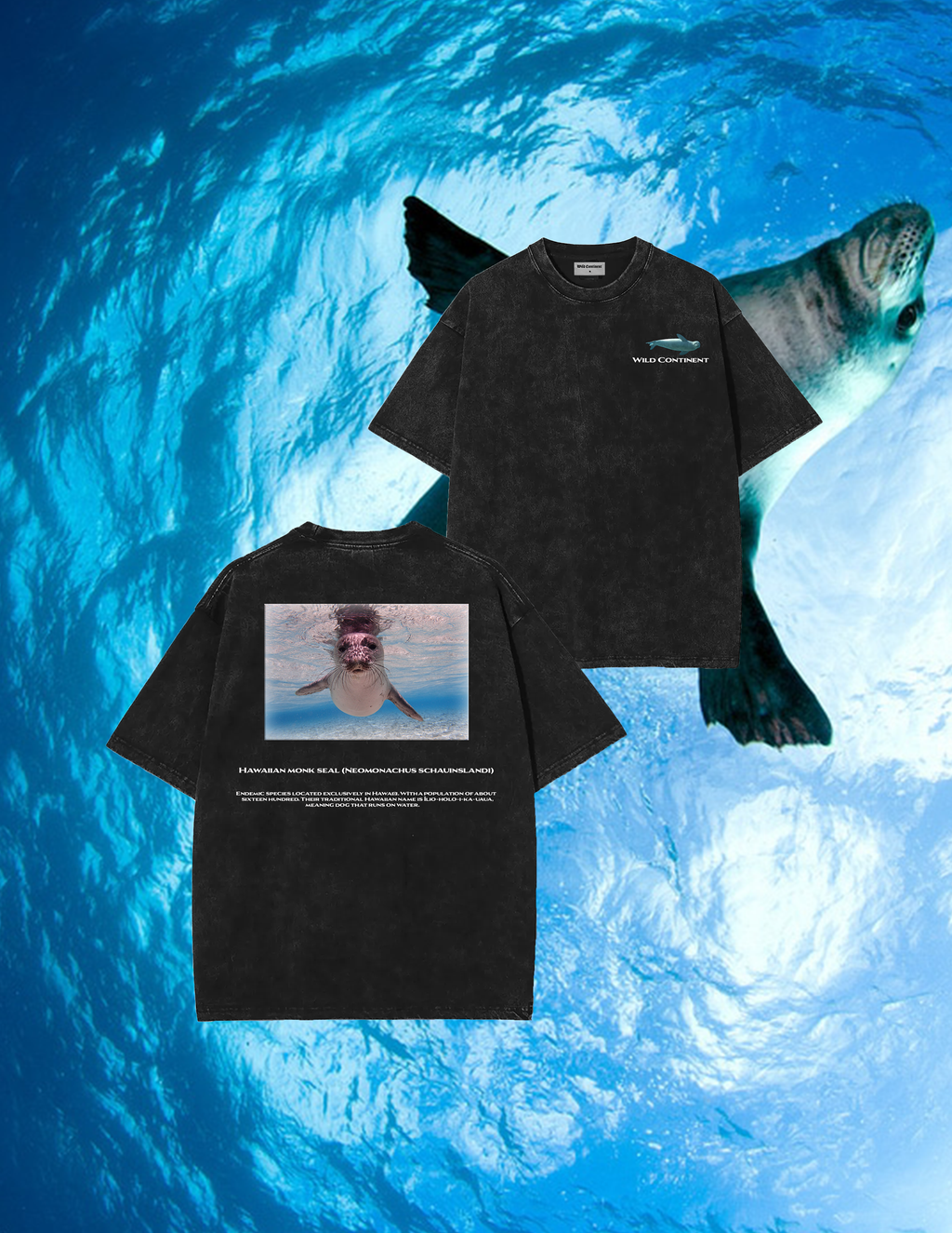 Hawaiin Monk Seal