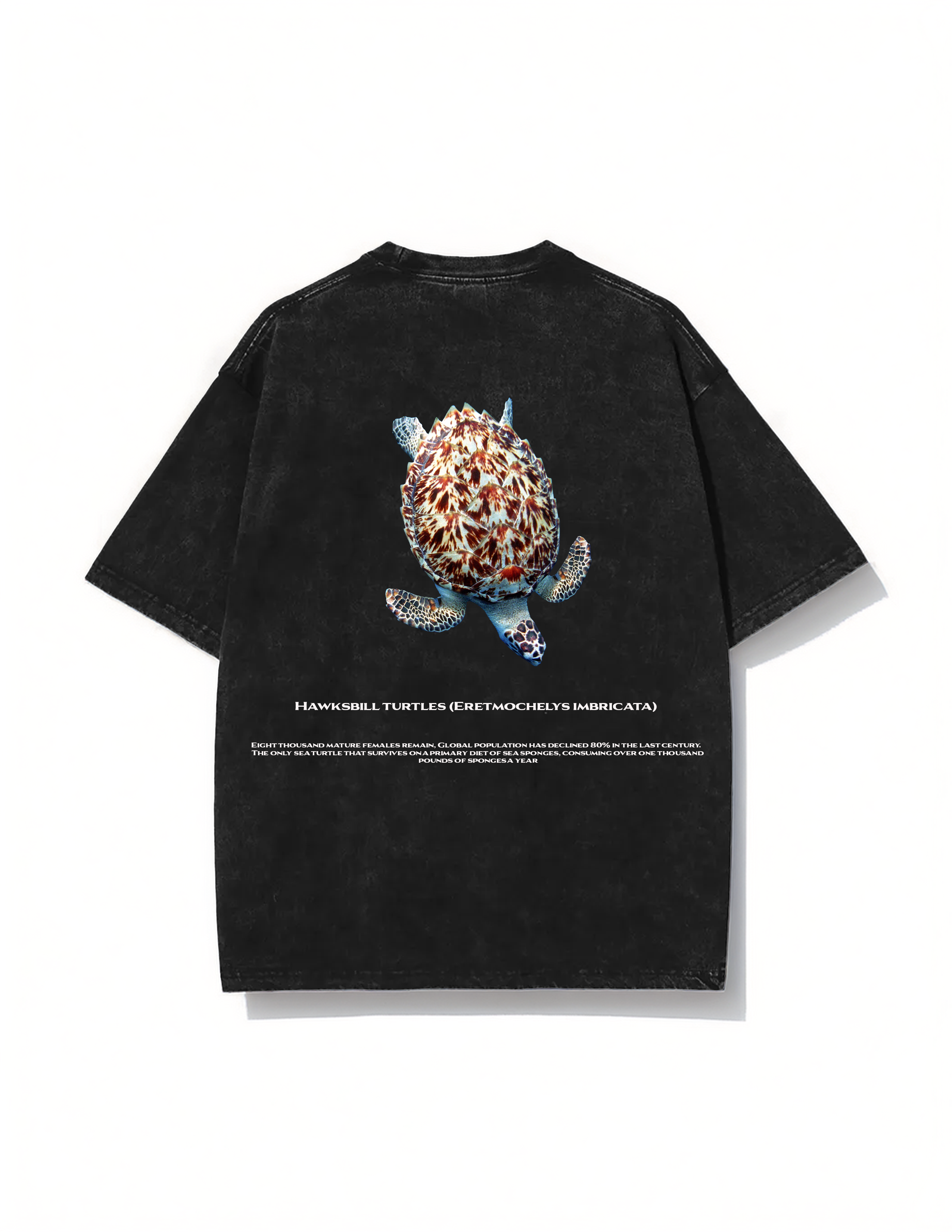 Hawksbill turtle t-shirt