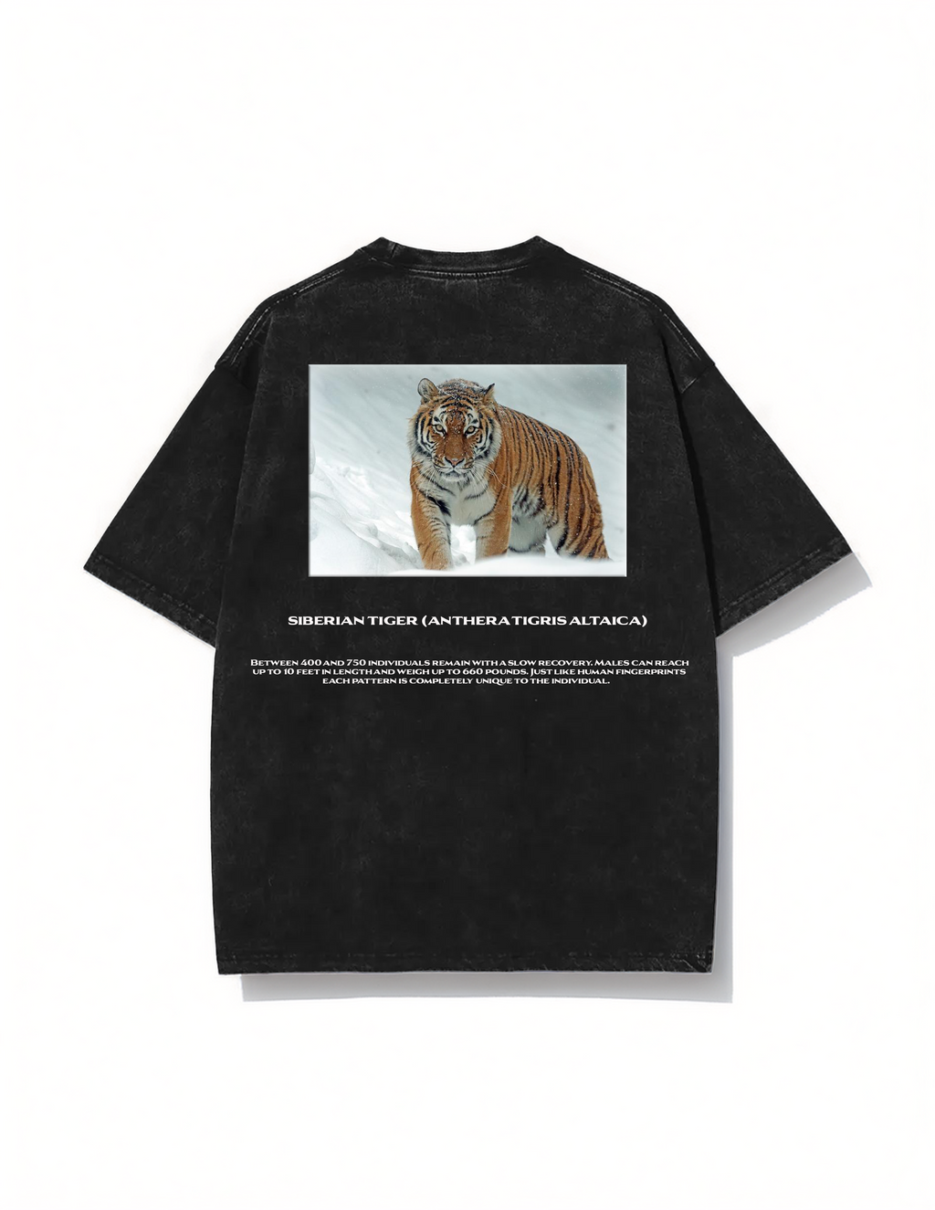 Siberian tiger T-shirt
