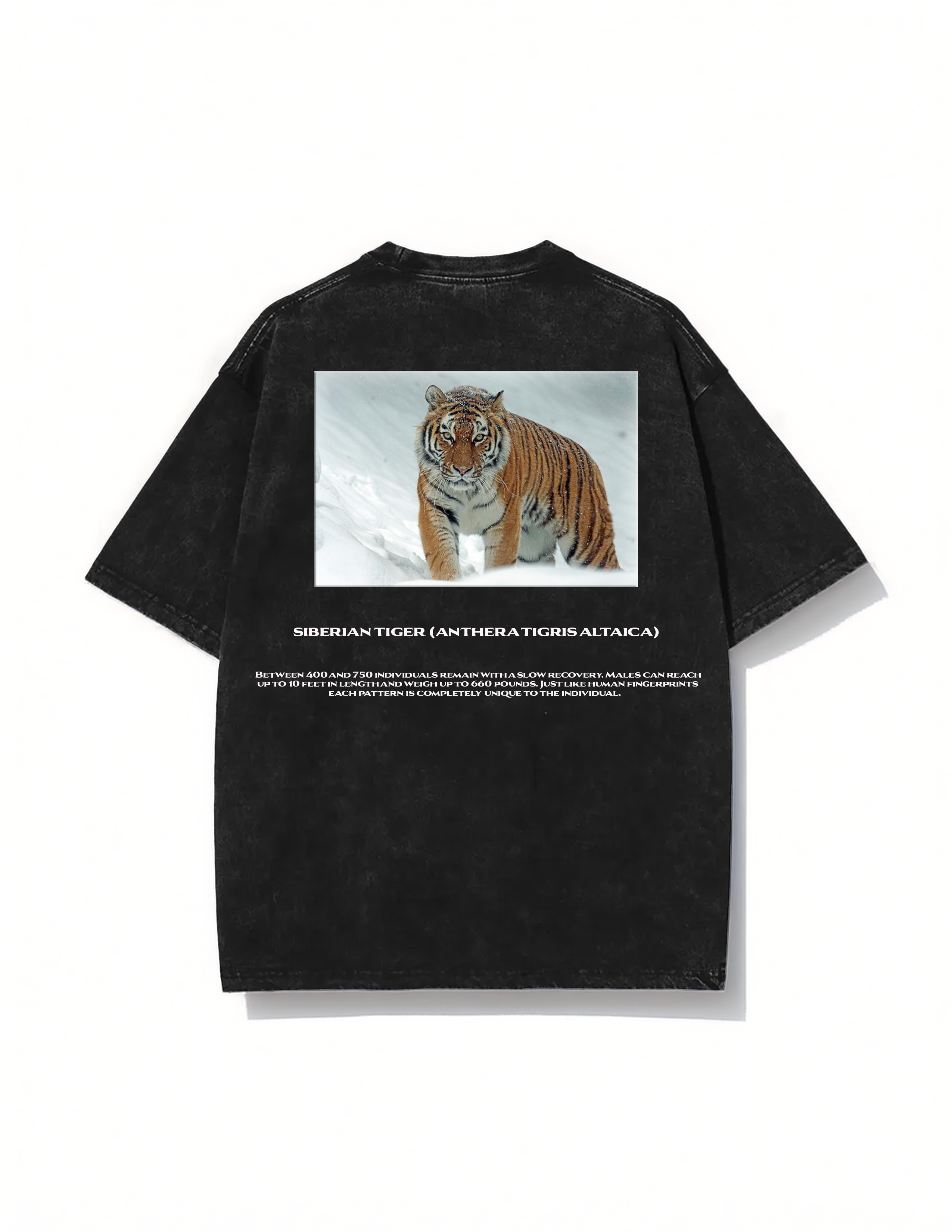 Siberian tiger T-shirt