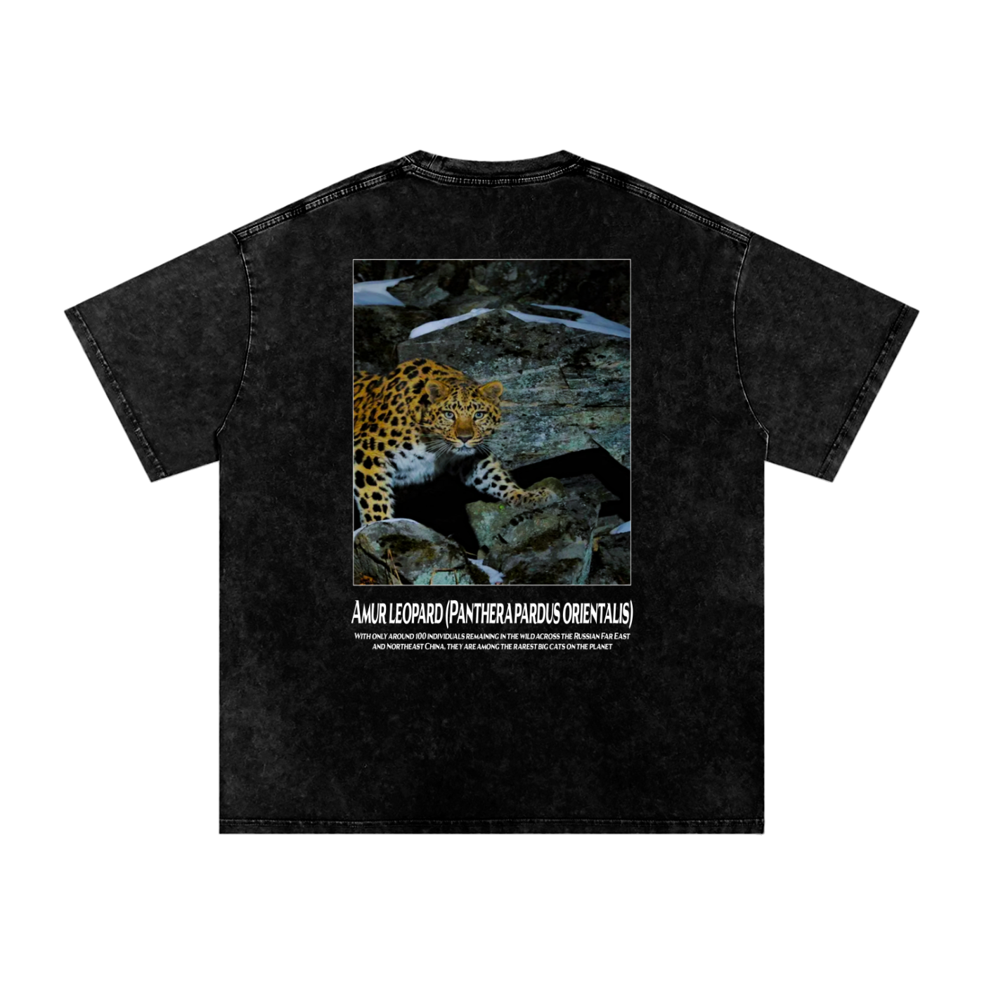 Amur Leopard T-Shirt
