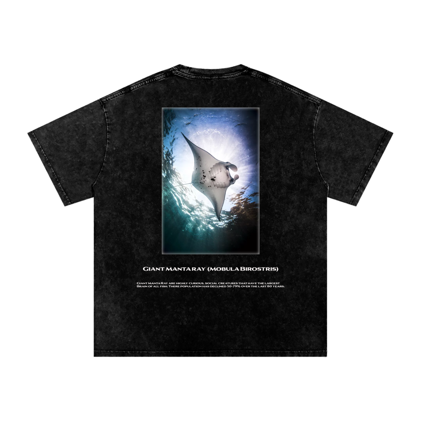 Giant Manta Ray (T-shirt)