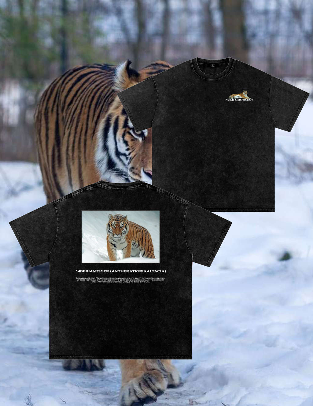 Siberian Tiger T-Shirt