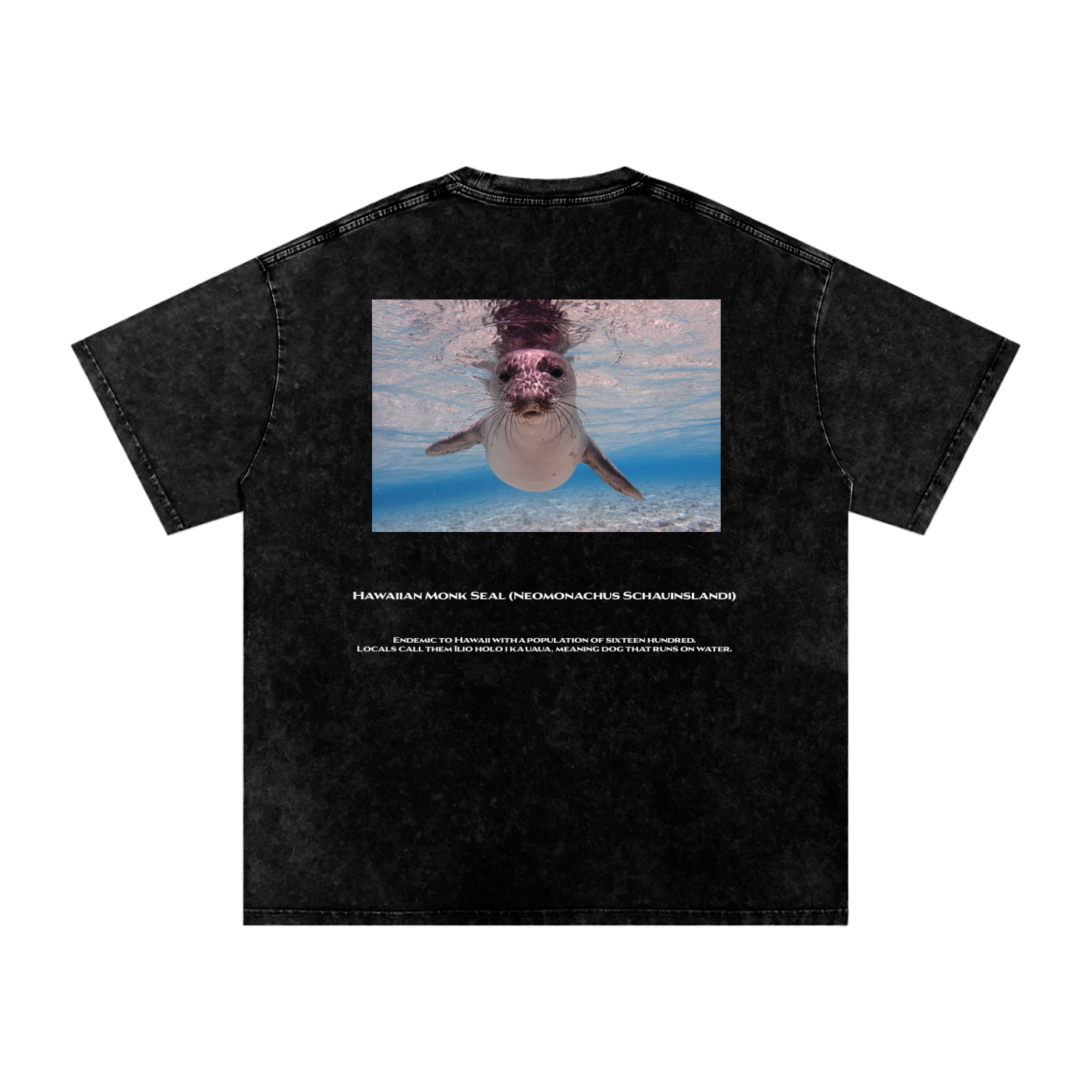 Hawaiian Monk Seal T-Shirt