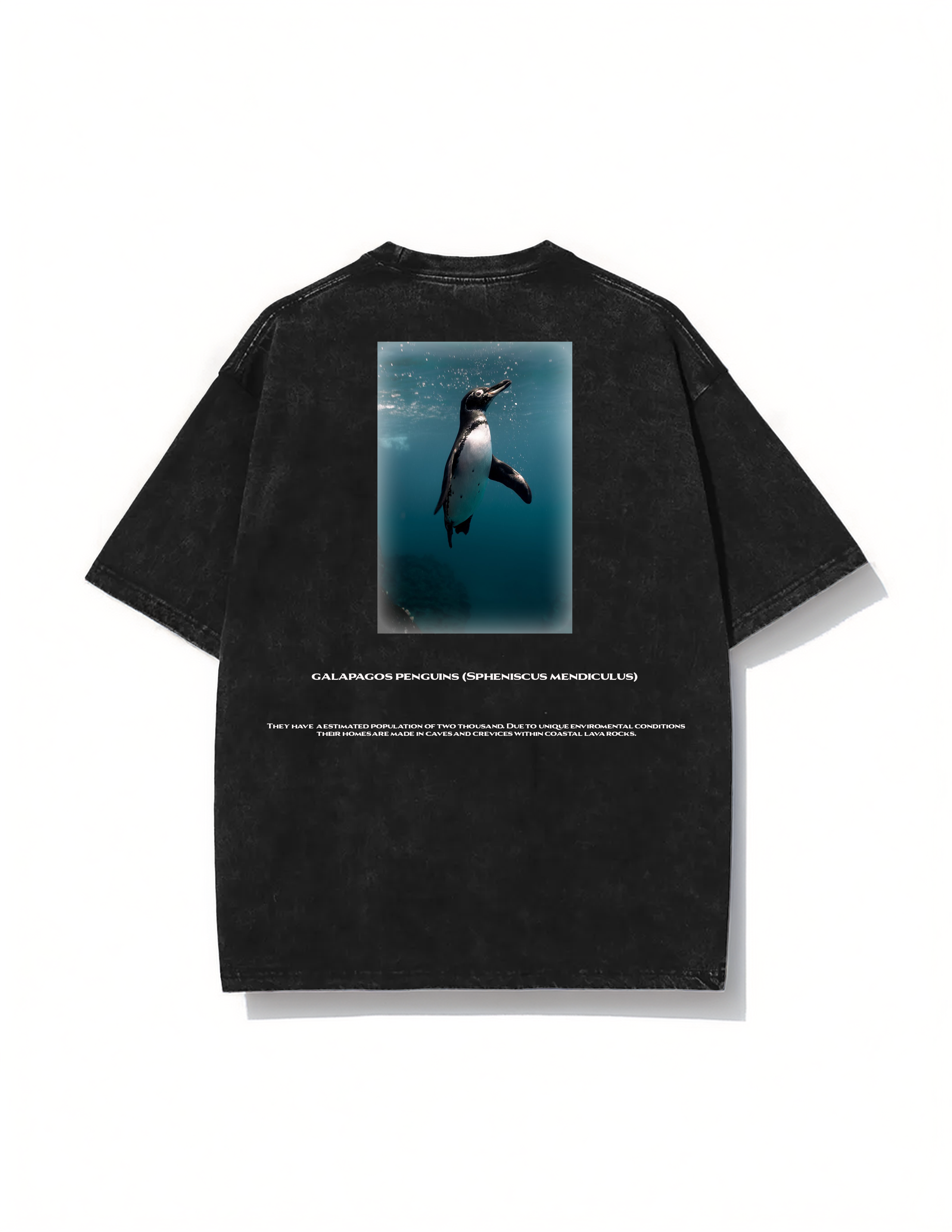 Galapagos Penguin T-shirt