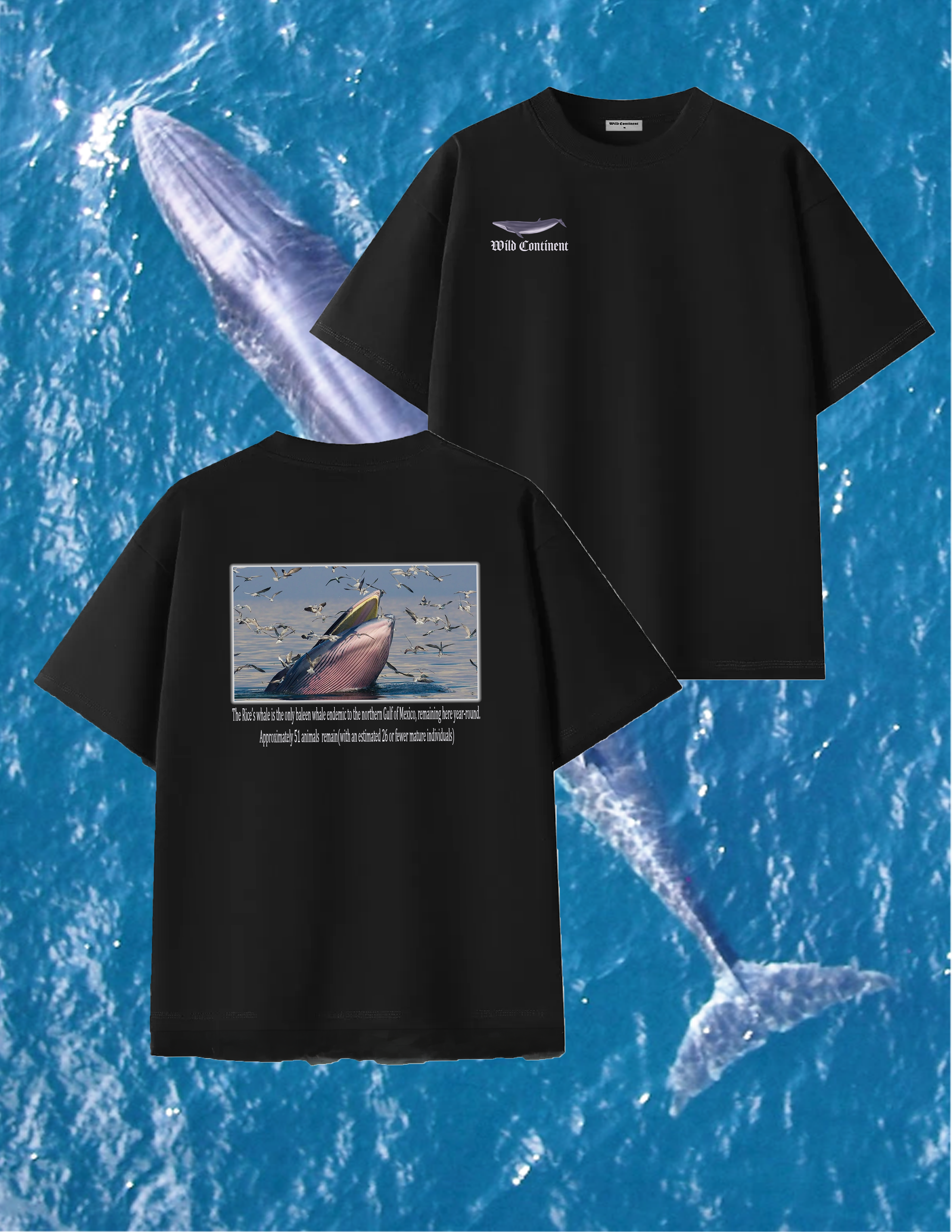 Rice's Whale Graphic T-shirt