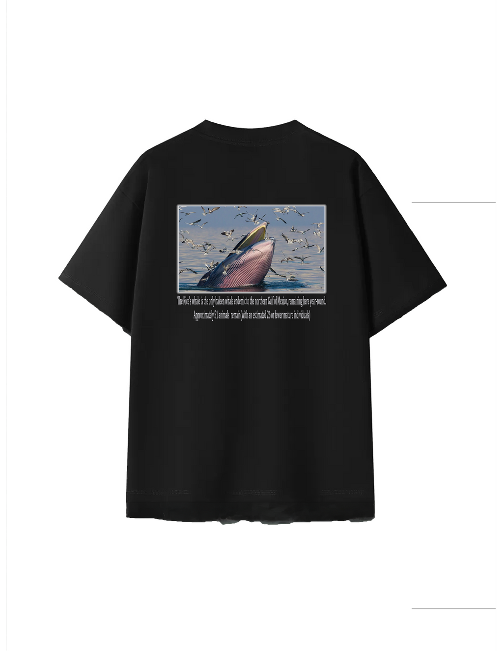 Rice's Whale Graphic T-shirt