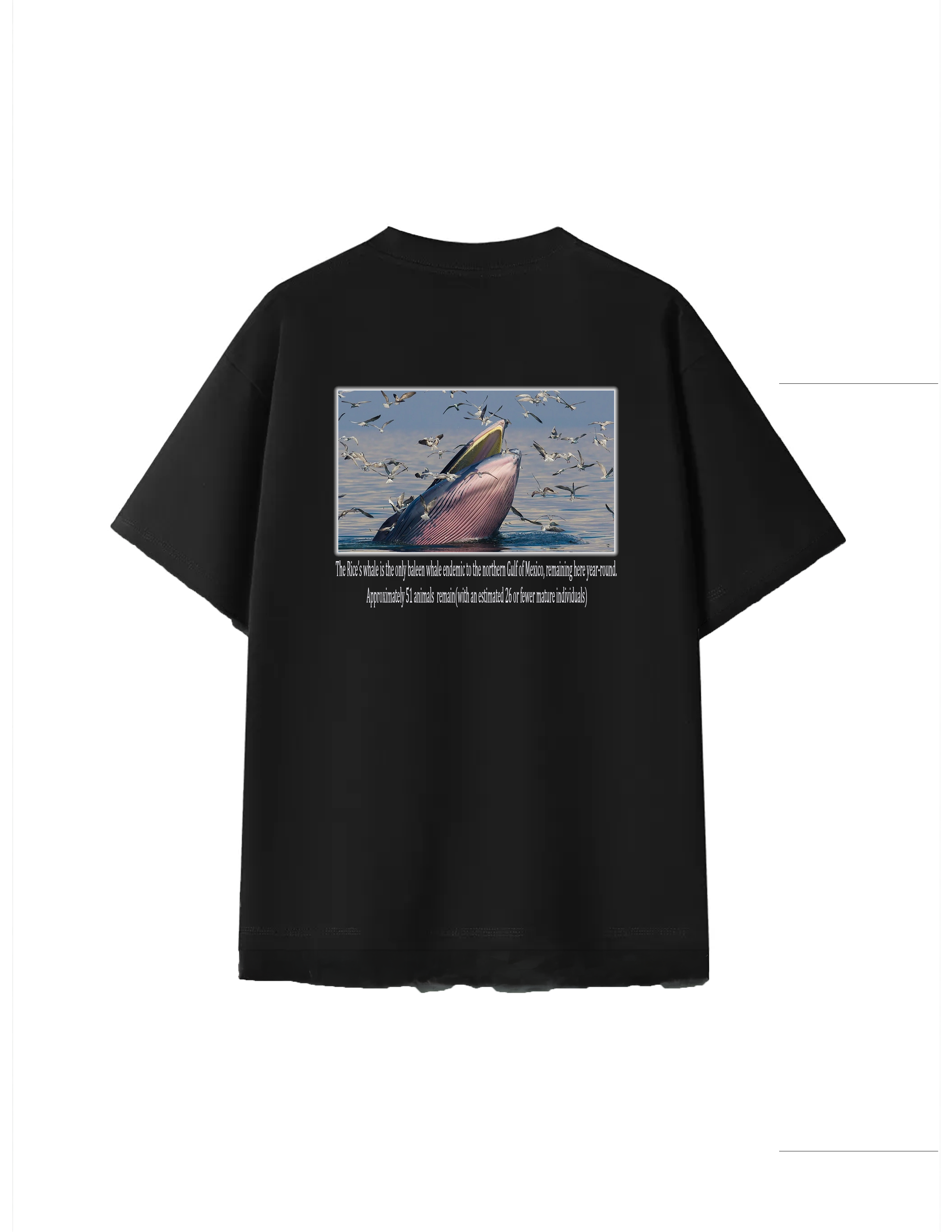 Rice's Whale Graphic T-shirt