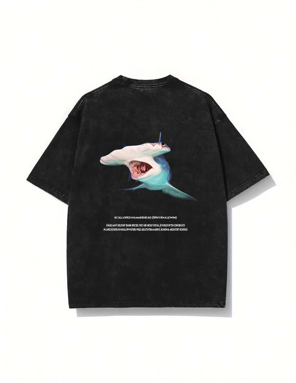 Scalloped hammerhead T-shirt